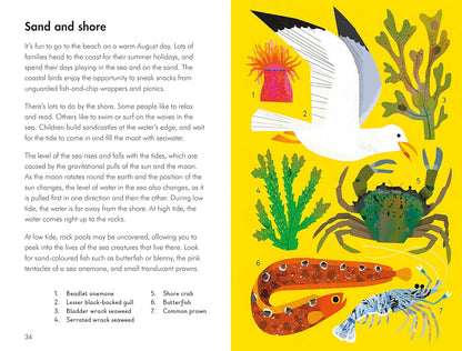What to Look for in Summer - By Elizabeth Jenner