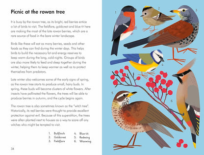 What to Look for in Winter - By Elizabeth Jenner