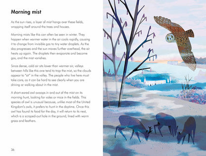 What to Look for in Winter - By Elizabeth Jenner