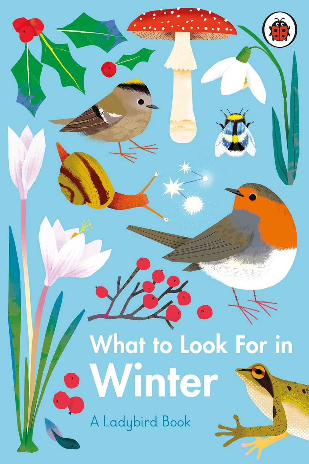 What to Look for in Winter - By Elizabeth Jenner