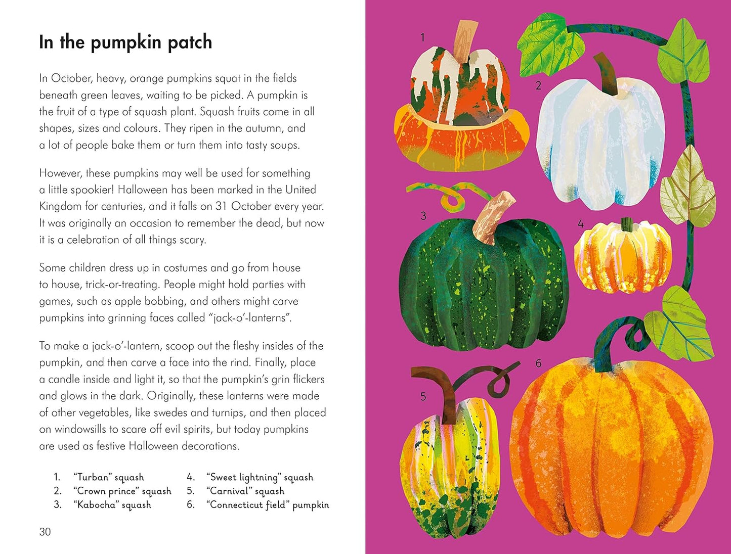 What to Look for in Autumn - By Elizabeth Jenner