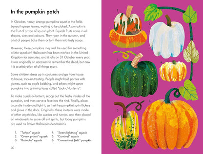 What to Look for in Autumn - By Elizabeth Jenner