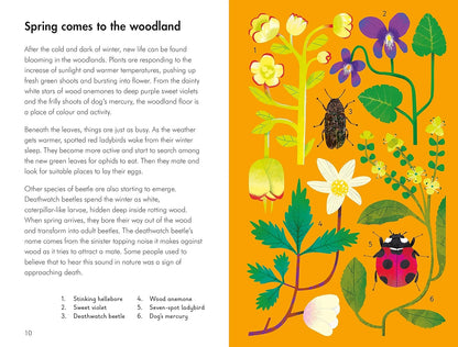 What to Look for in Spring - By Elizabeth Jenner
