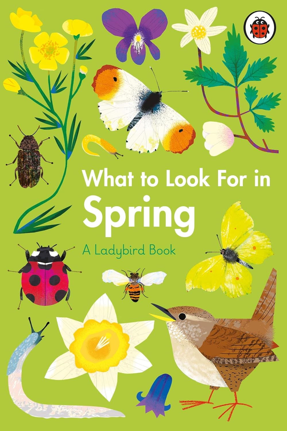 What to Look for in Spring - By Elizabeth Jenner