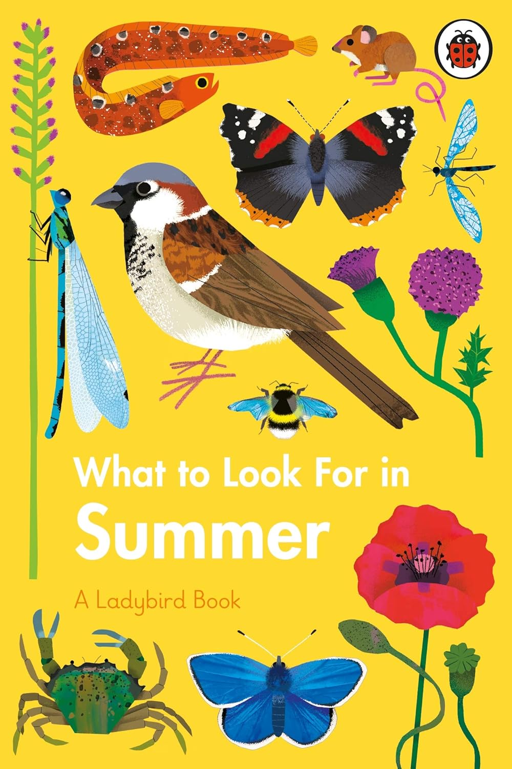 What to Look for in Summer - By Elizabeth Jenner