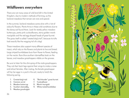 What to Look for in Summer - By Elizabeth Jenner