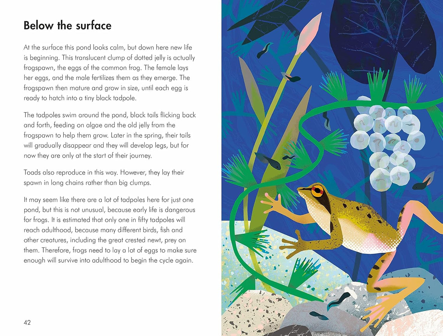 What to Look for in Winter - By Elizabeth Jenner