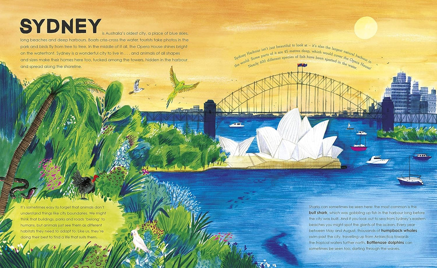 Wild Cities - By Ben Lerwill