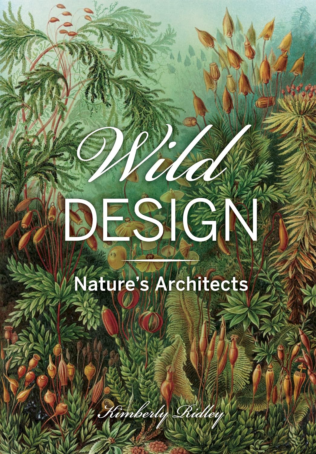 Wild Design - By Kimberley Ridley