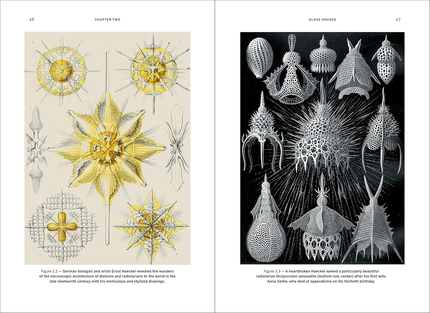 Wild Design - By Kimberley Ridley