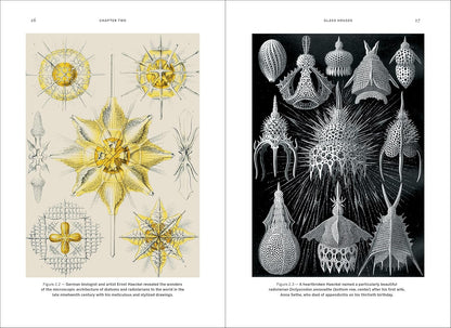 Wild Design - By Kimberley Ridley