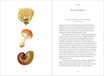 Wild Design - By Kimberley Ridley