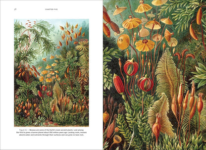 Wild Design - By Kimberley Ridley