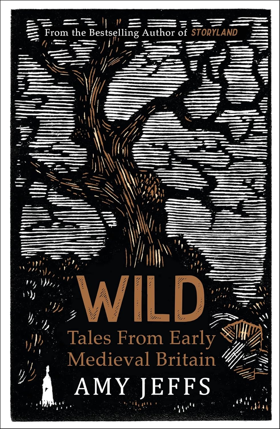 Wild: Tales from Early Medieval Britain - By Amy Jeffs