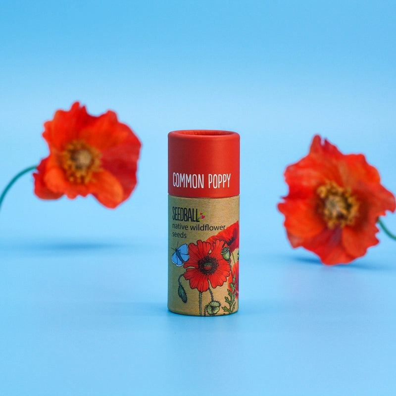 Wildflower Seedball Tube - Common Poppy