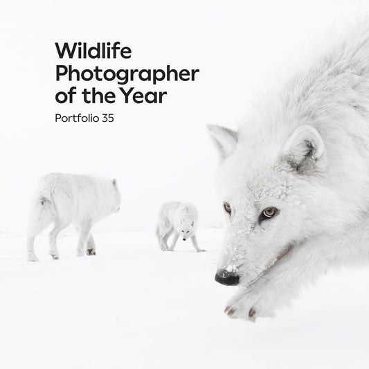 Wildlife Photographer of the Year: Portfolio 35 - By Keith Wilson