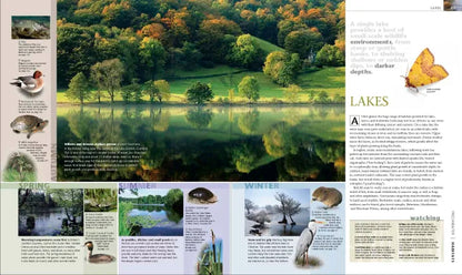 Wildlife of Britain and Ireland - By DK
