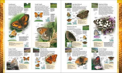 Wildlife of Britain and Ireland - By DK