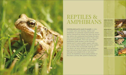 Wildlife of Britain and Ireland - By DK