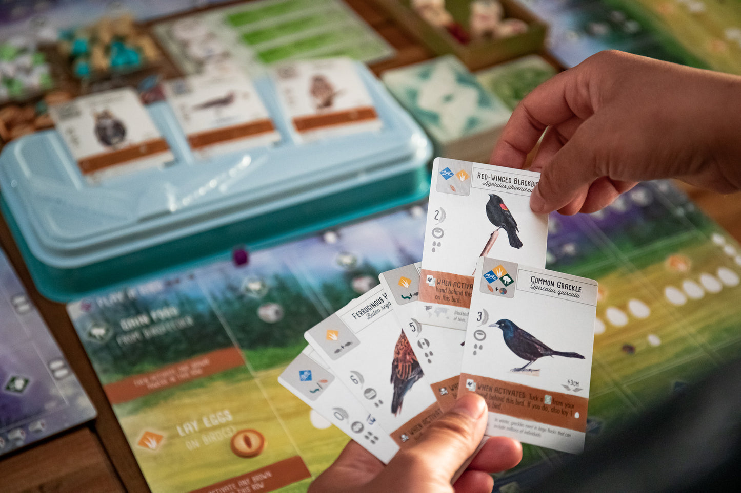 Wingspan Board Game