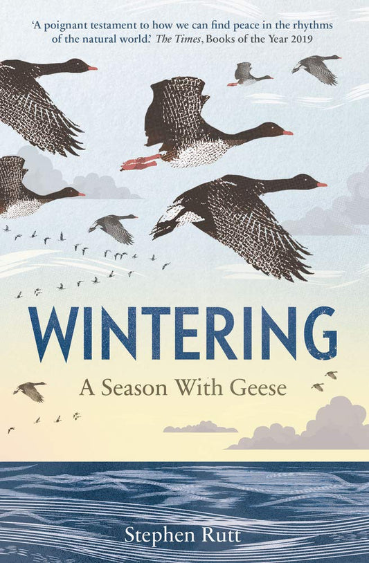 Wintering: A Season with Geese - By Stephen Rutt