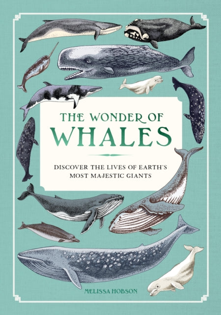 Wonder of Whales - By Melissa Hobson