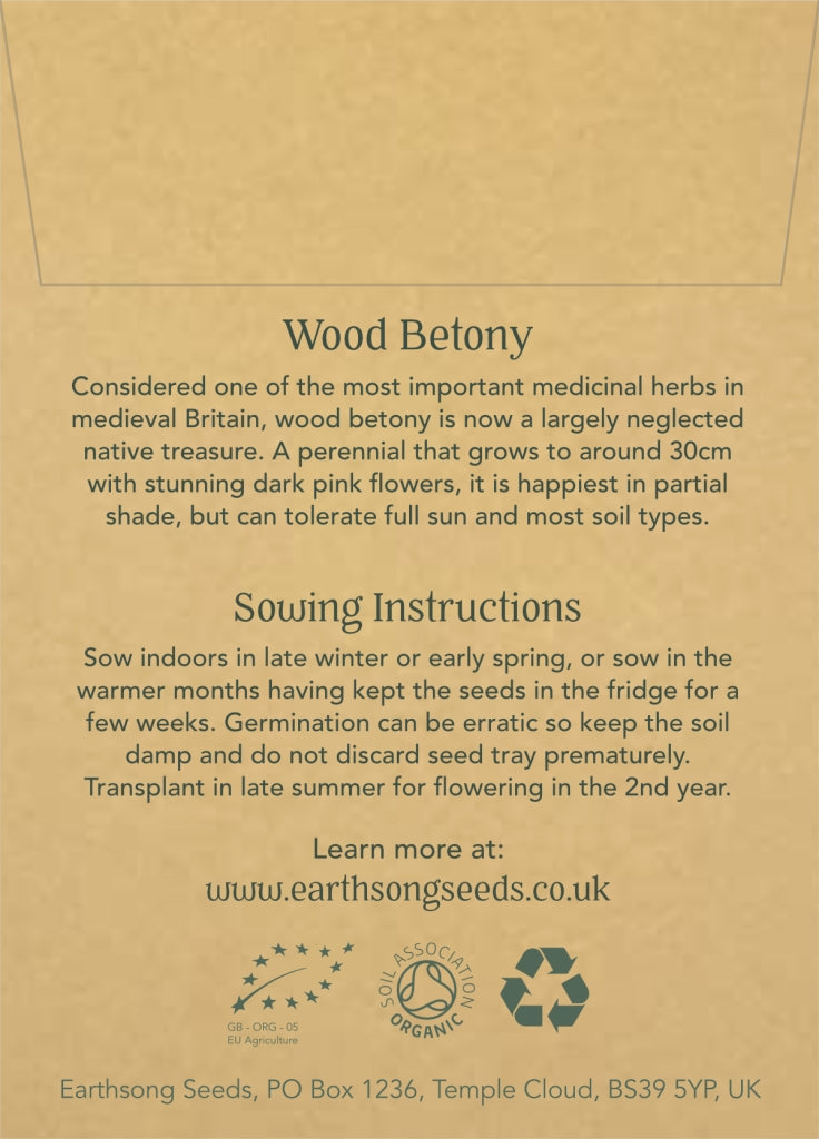 Wood Betony - Seed Packet