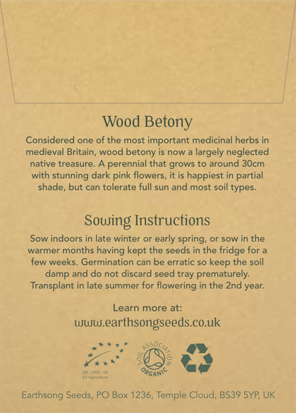 Wood Betony - Seed Packet