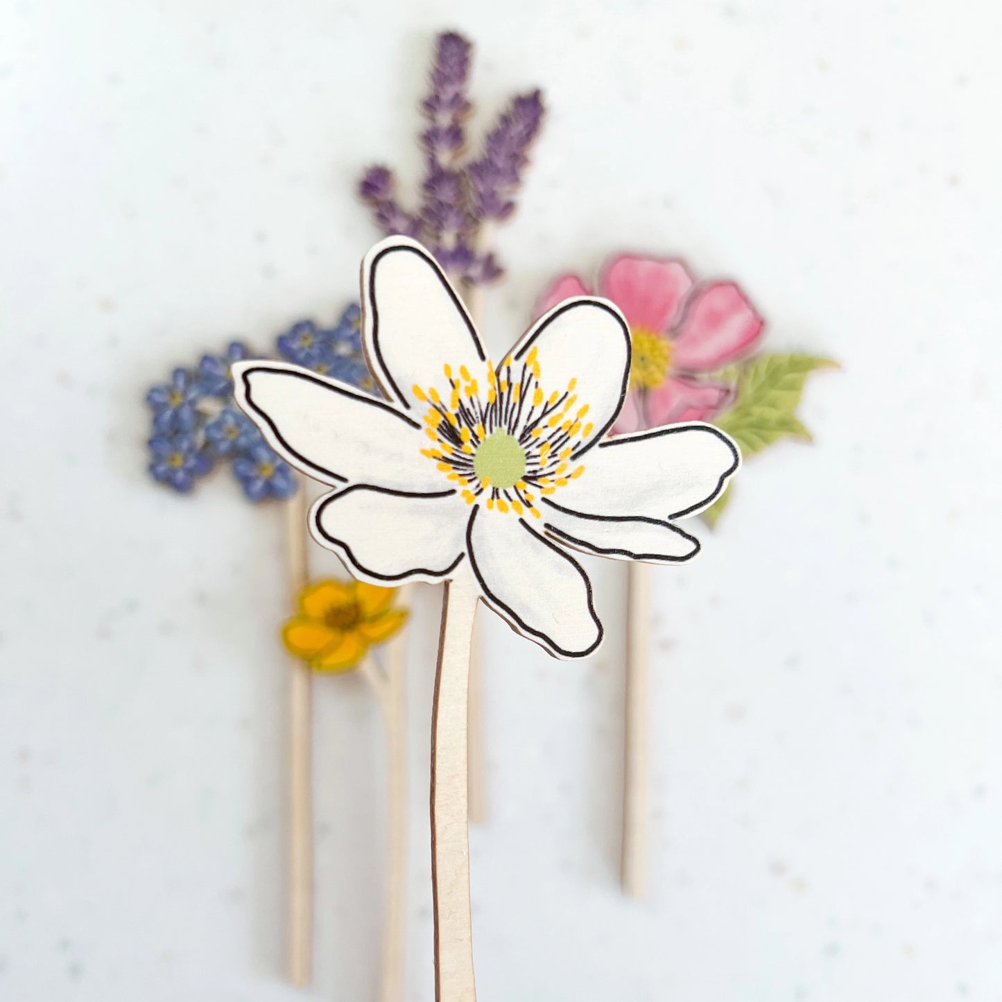 Wooden Wildflower - Wood Anemone