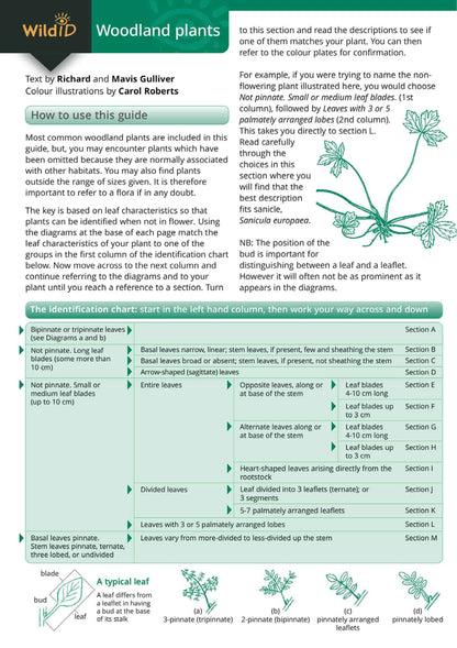Woodland Plants - Wild ID Guide