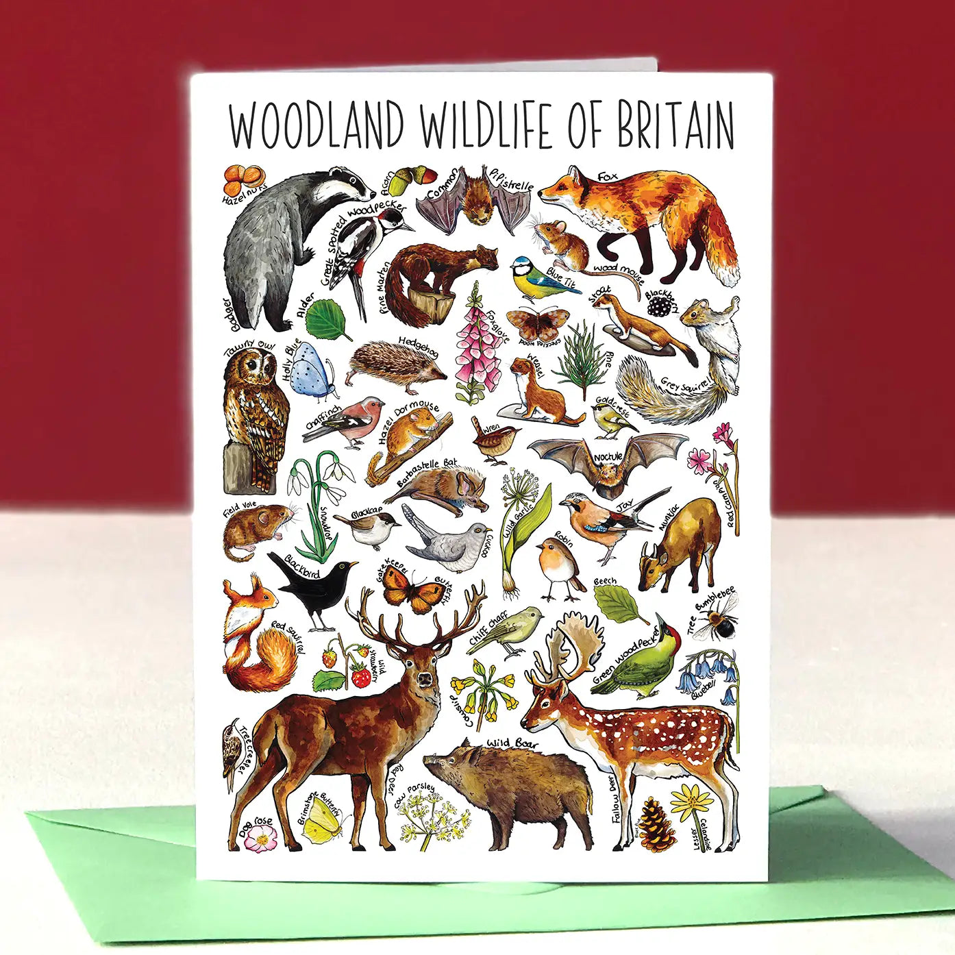 Woodland Wildlife - Greetings Card