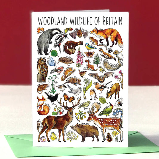 Woodland Wildlife - Greetings Card