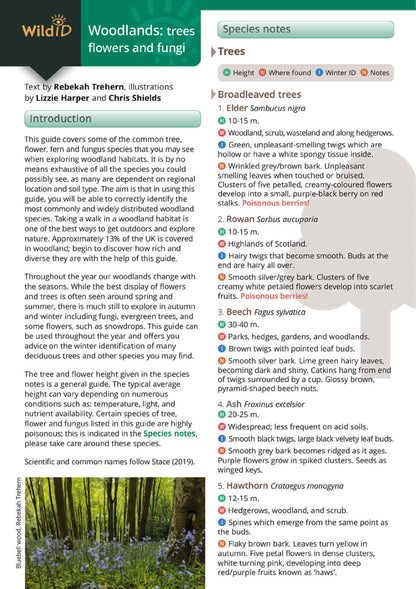 Woodlands: Trees, Flowers and Fungi - Wild ID Guide