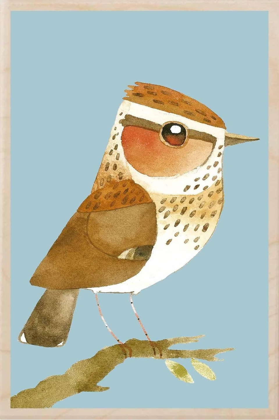 Woodlark Wooden Postcard