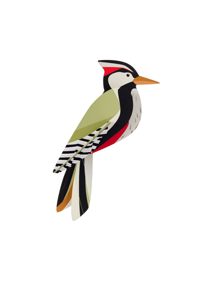 Woodpecker - StudioROOF