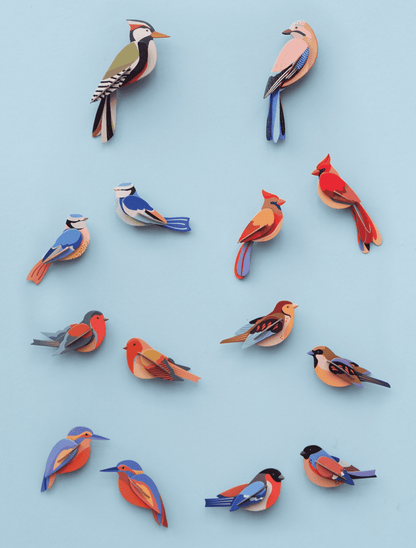 Cardinals - StudioROOF