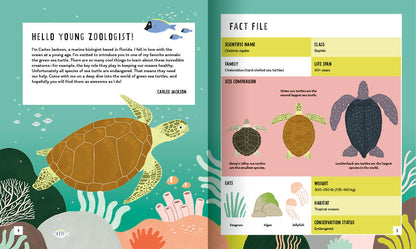 Young Zoologist Green Sea Turtle
