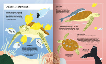 Young Zoologist Green Sea Turtle