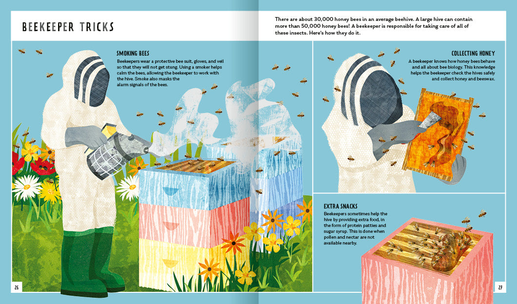 Young Zoologist Honey Bee