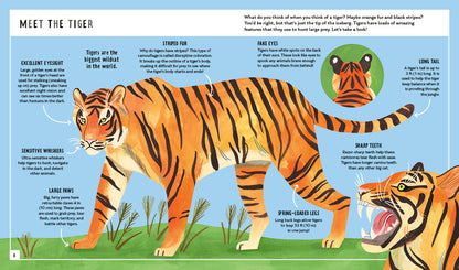 Young Zoologist Tiger
