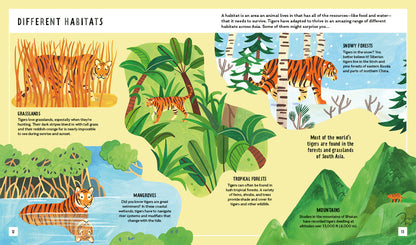 Young Zoologist Tiger