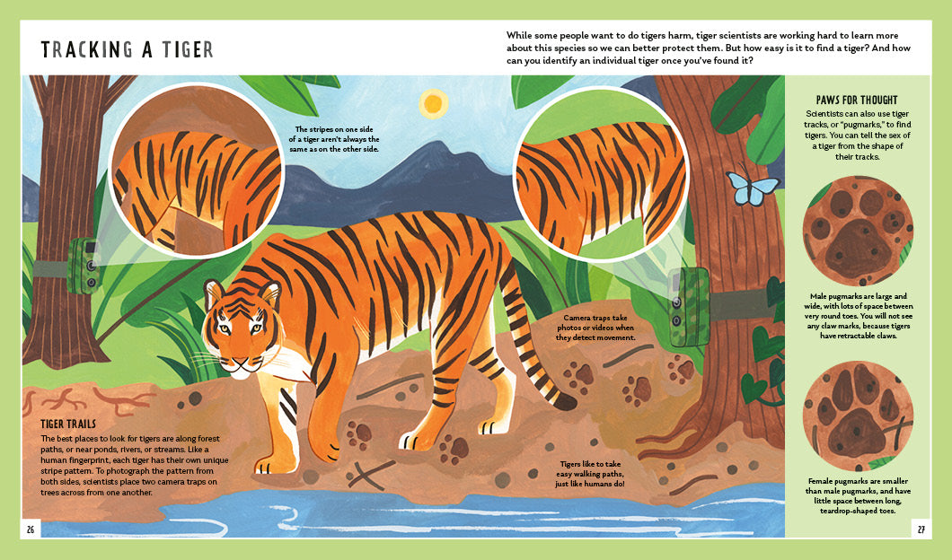 Young Zoologist Tiger