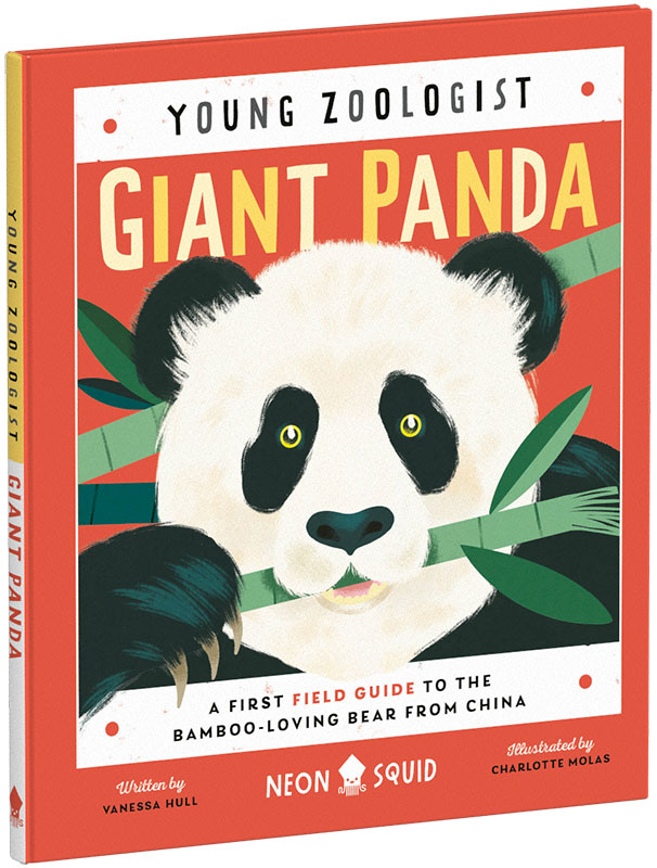 Young Zoologist Giant Panda