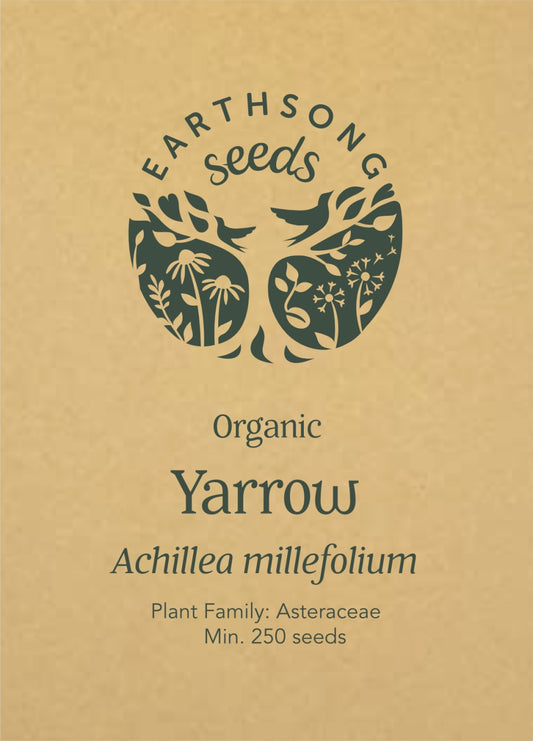 Yarrow - Seed Packet