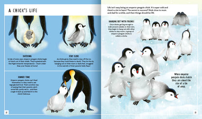 Young Zoologist Emperor Penguin