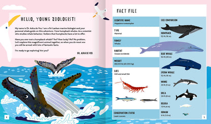 Young Zoologist Humpback Whale