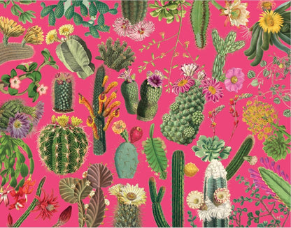 Succulents & Cacti - 1000 Piece Kew Botanical Jigsaw Puzzle