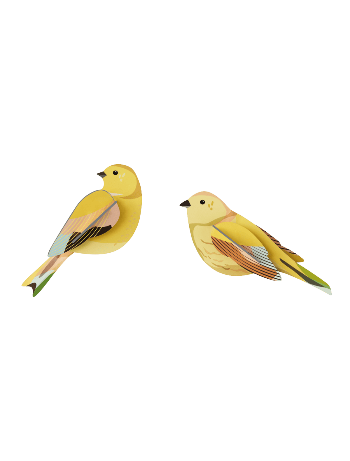 Citronella Pair - StudioROOF