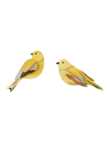 Citronella Pair - StudioROOF