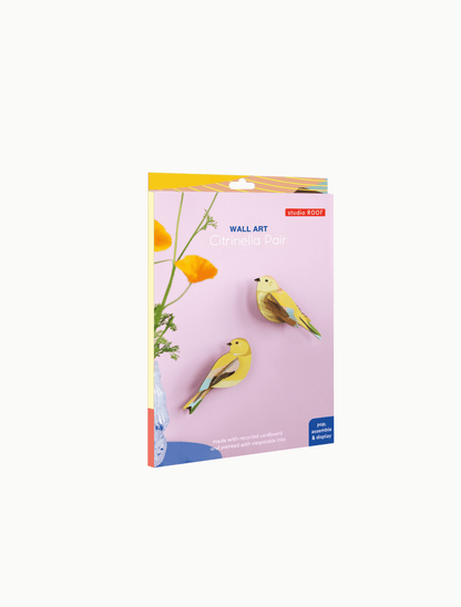 Citronella Pair - StudioROOF